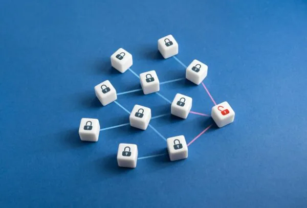 AI Security Risks in Legal Services: Privacy & Regulation